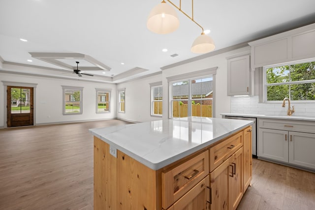 2204 N Oak St, Valdosta, GA 31602 - kitchen with stainless steel dishwasher, light wood-type flooring, healthy amount of natural light, ceiling fan, and ornamental molding