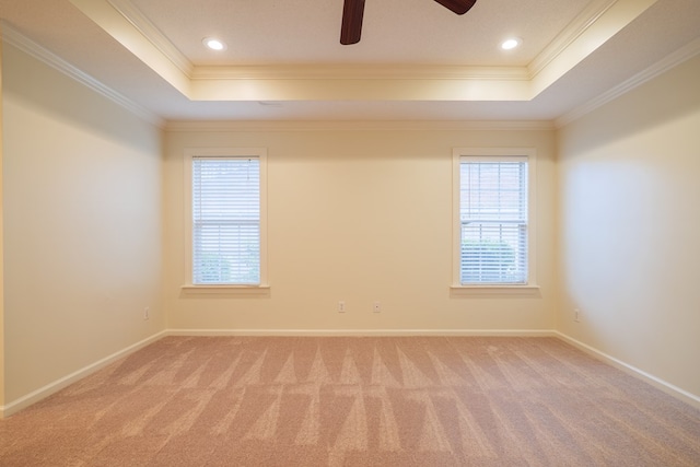 spare room with carpet floors, a tray ceiling, and plenty of natural light