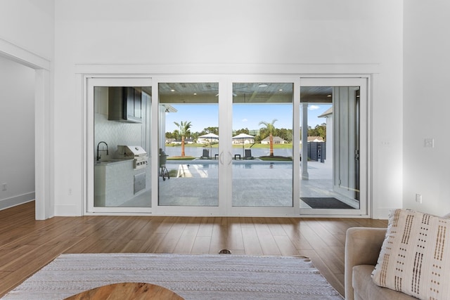 entryway with hardwood / wood-style floors