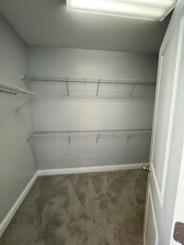 walk in closet with dark carpet