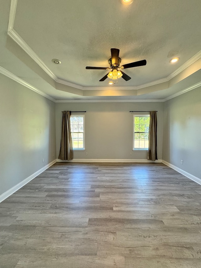 spare room with a raised ceiling, ornamental molding, and light hardwood / wood-style flooring