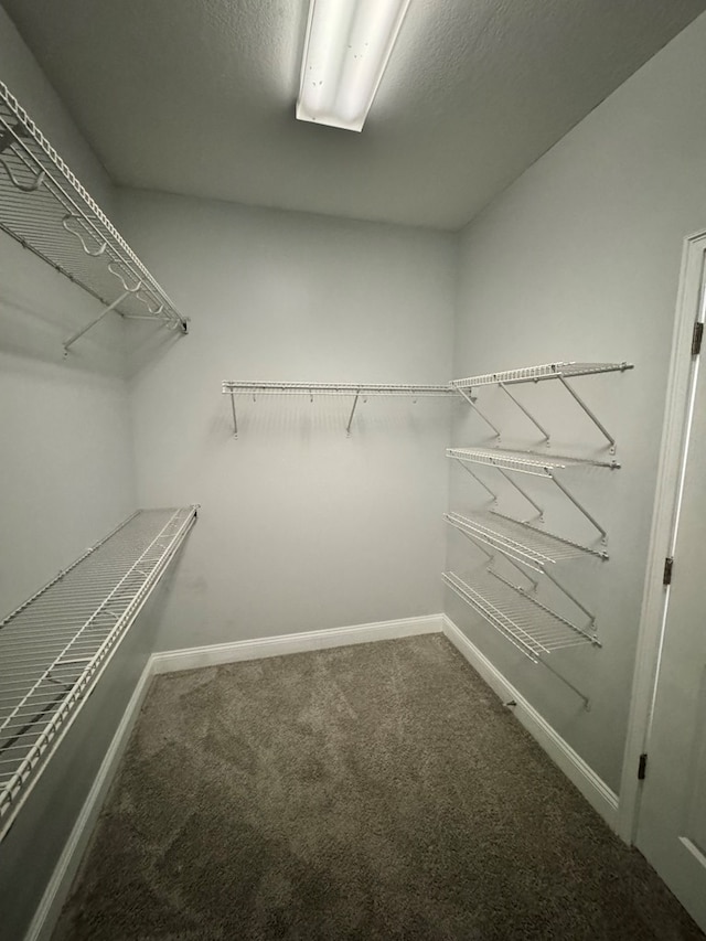 spacious closet with carpet floors