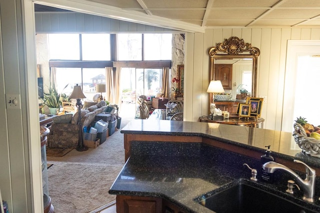 kitchen with carpet flooring and sink