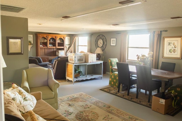 living room with a textured ceiling