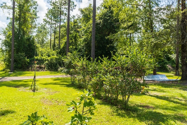 view of property's community with a lawn