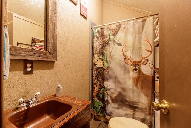 bathroom featuring toilet, sink, and a shower with shower curtain