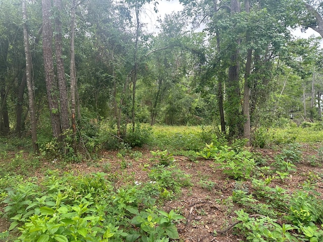 LOT26 Cypress Lakes Dr, Lake Park, GA 31636 - photo 3