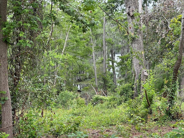 LOT26 Cypress Lakes Dr, Lake Park, GA 31636 - photo 8