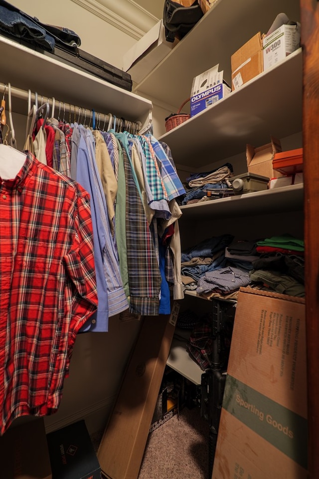 spacious closet featuring carpet