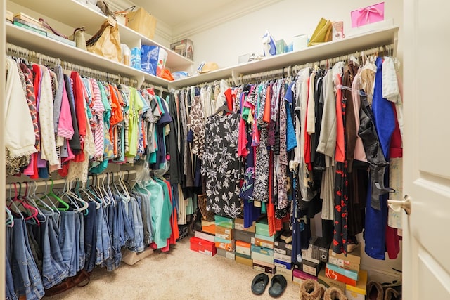 spacious closet featuring carpet