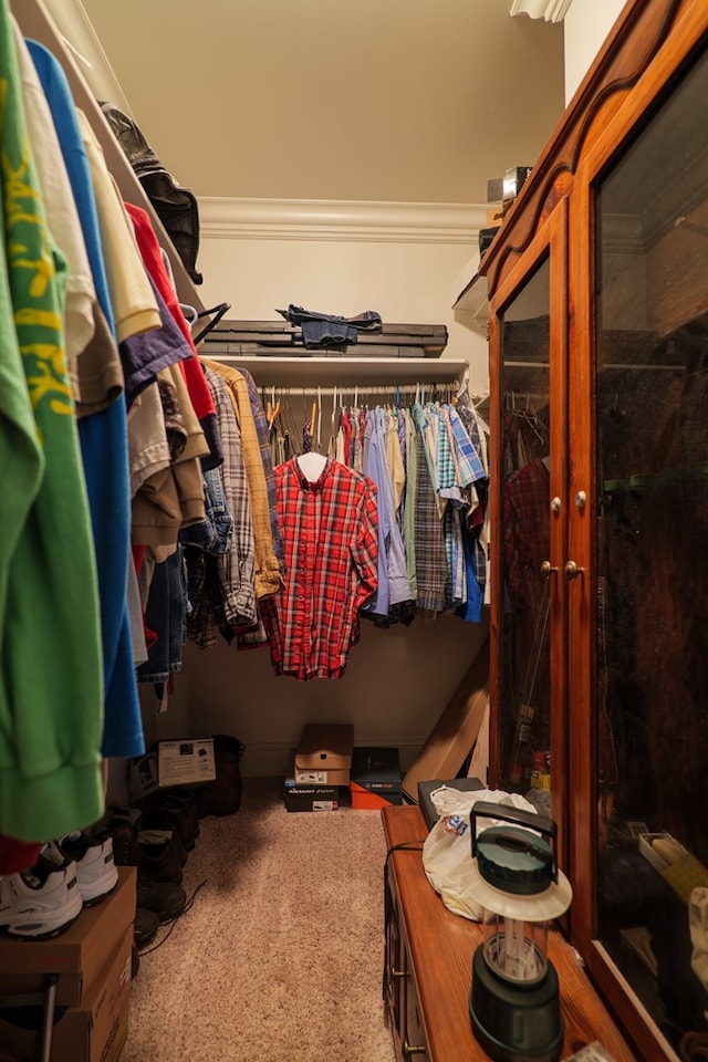 walk in closet with carpet