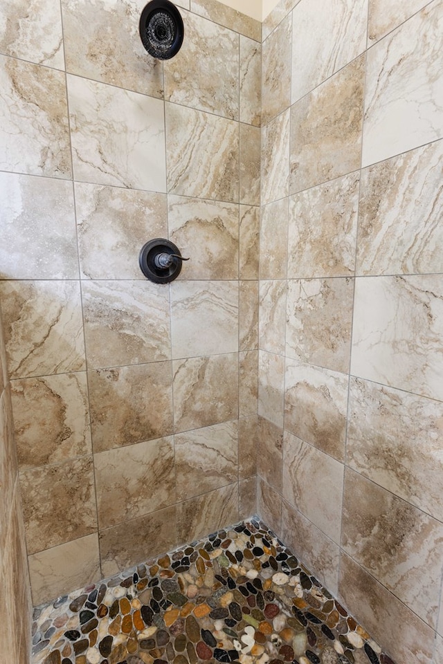 room details with tiled shower