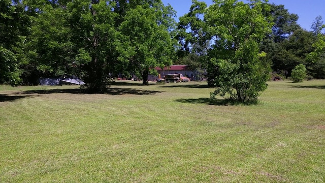 5199 W US, Dixie, GA 31629 - photo 6