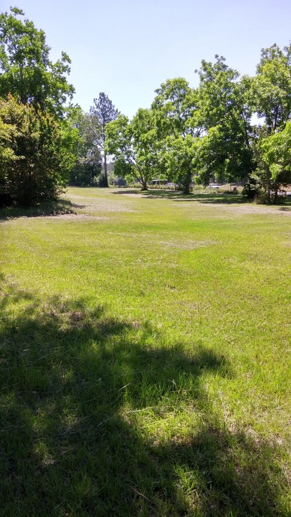5199 W US, Dixie, GA 31629 - photo 8