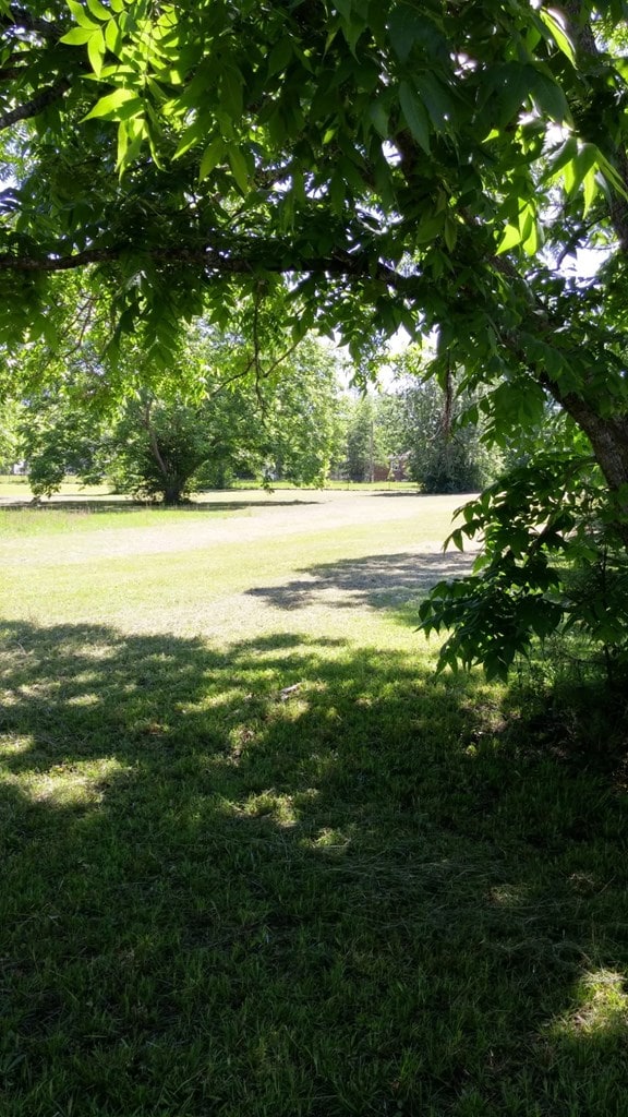 5199 W US, Dixie, GA 31629 - photo 13