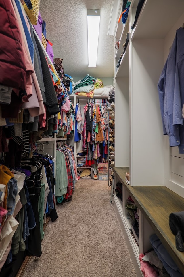 walk in closet featuring carpet