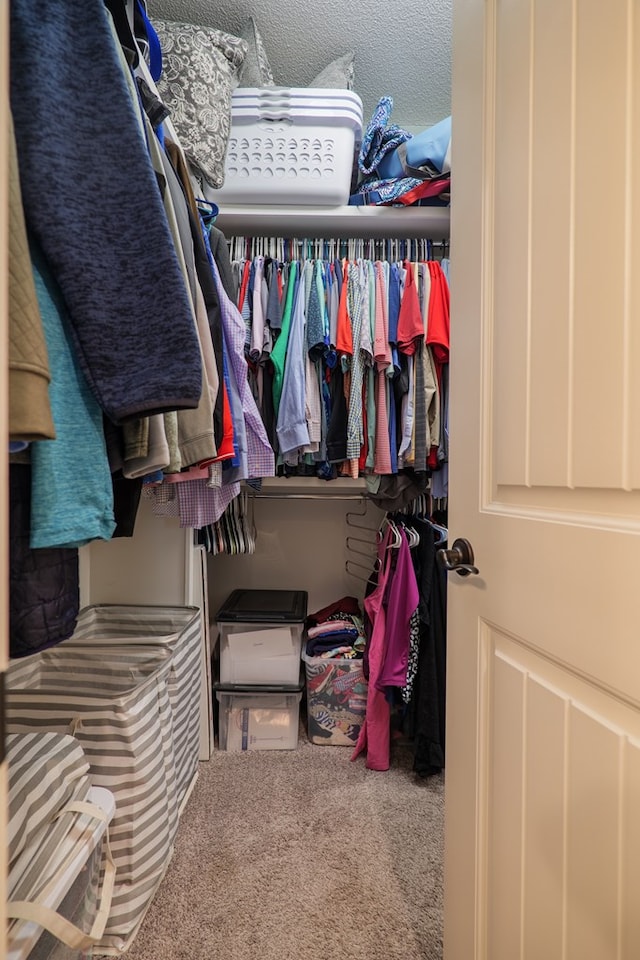 walk in closet with carpet floors