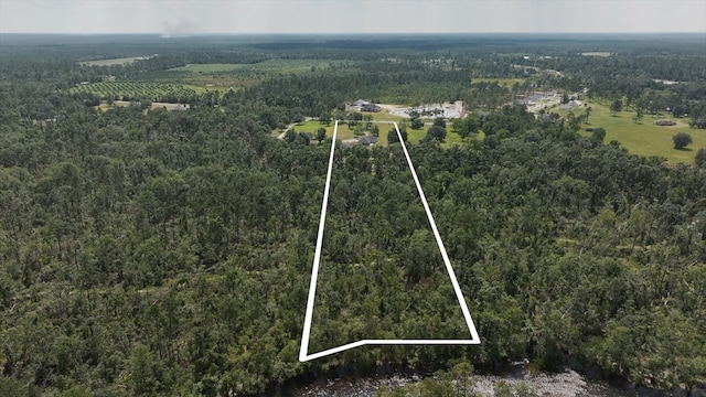 6377 Lake Alapaha Blvd, Naylor, GA 31641 - photo 2