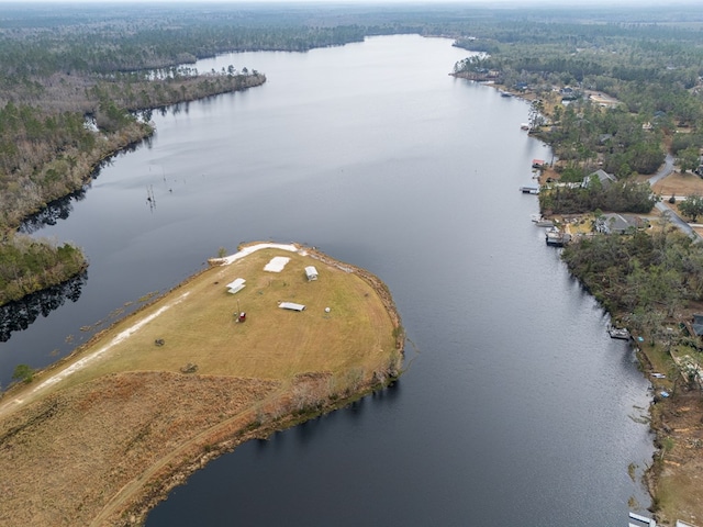 6377 Lake Alapaha Blvd, Naylor, GA 31641 - photo 6