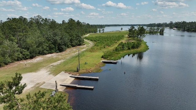 6377 Lake Alapaha Blvd, Naylor, GA 31641 - photo 10