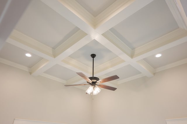 room details featuring ceiling fan and ornamental molding