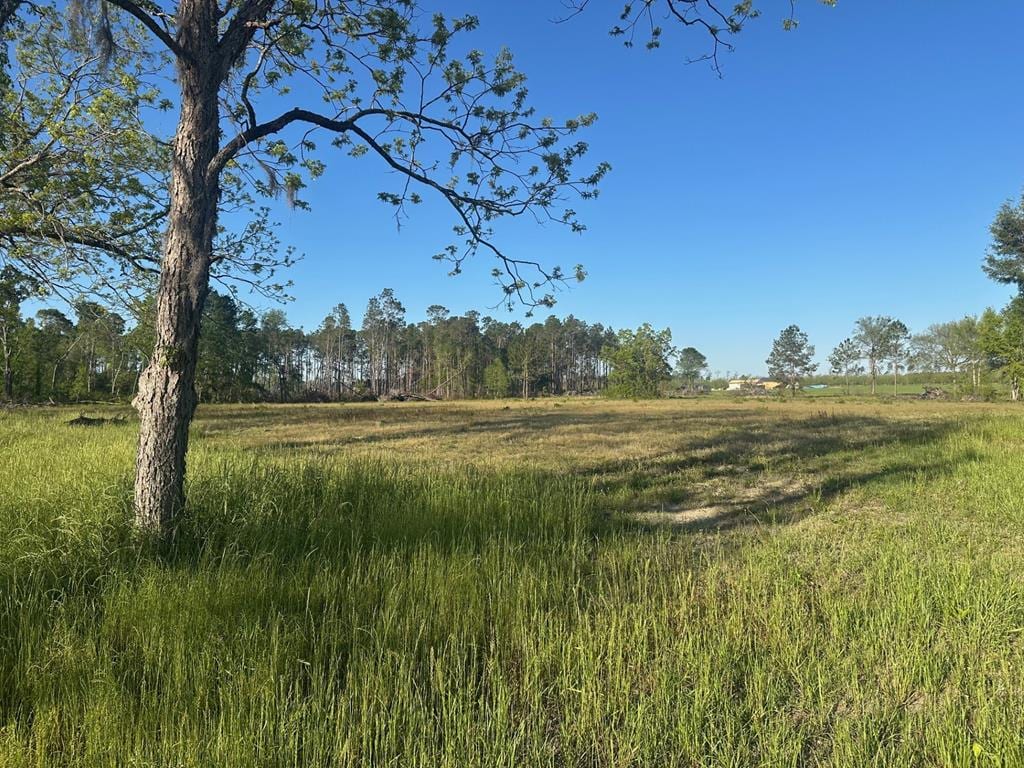 10.089 Indian Camp Rd, Nashville, GA 31639 - photo 1
