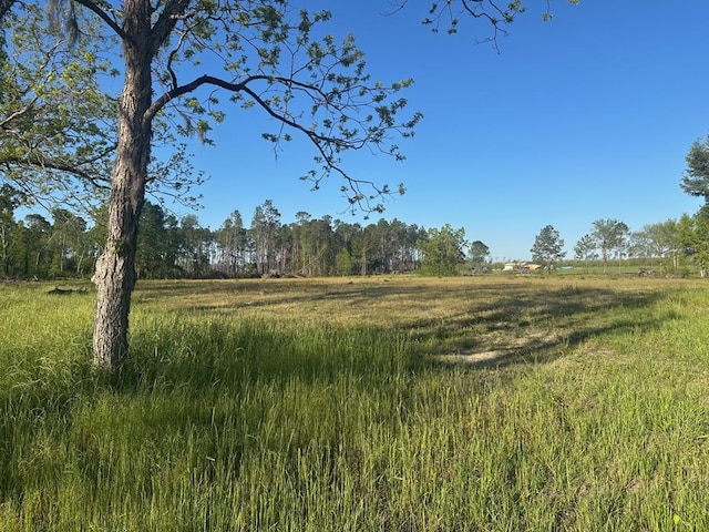 10.089 Indian Camp Rd, Nashville, GA 31639 - photo 1