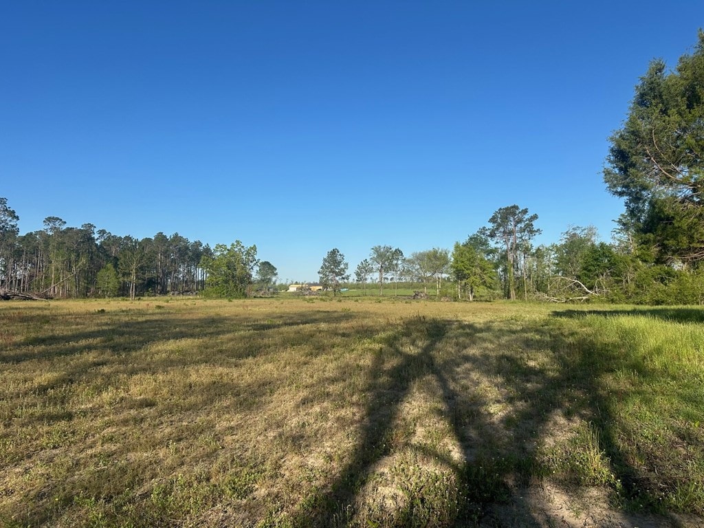 10.089 Indian Camp Rd, Nashville, GA 31639 - photo 4