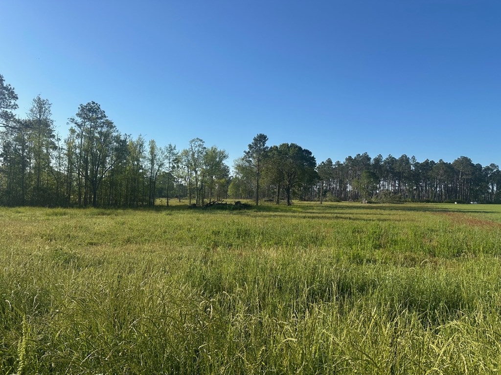 10.089 Indian Camp Rd, Nashville, GA 31639 - photo 3