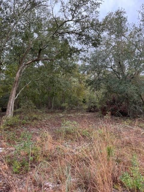 0 N Hickory Grove Rd, Valdosta, GA 31606 - photo 2