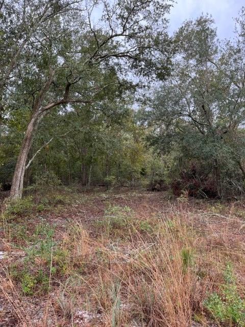 0 N Hickory Grove Rd, Valdosta, GA 31606 - photo 2