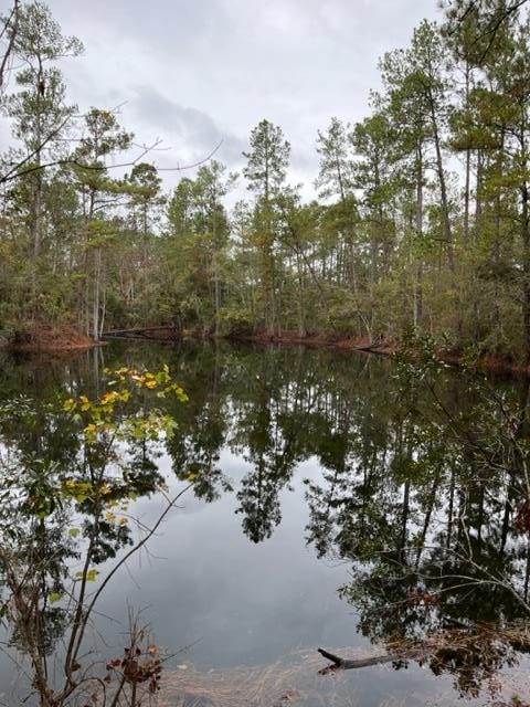 0 N Hickory Grove Rd, Valdosta GA, 31606 land for sale