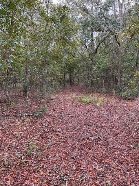 Listing photo 3 for 0 N Hickory Grove Rd, Valdosta GA 31606