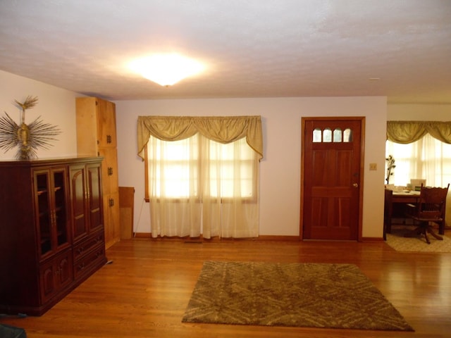 foyer featuring wood-type flooring