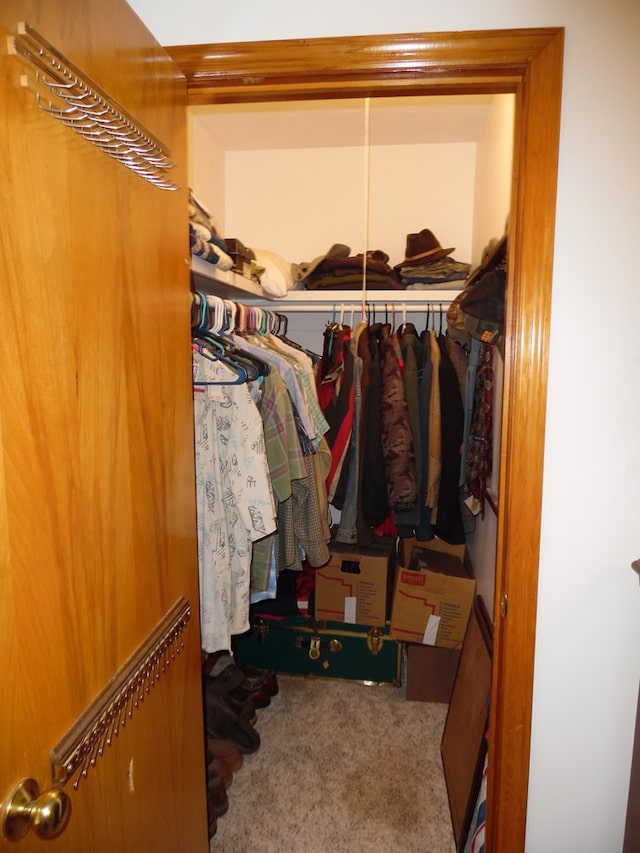 spacious closet featuring carpet floors