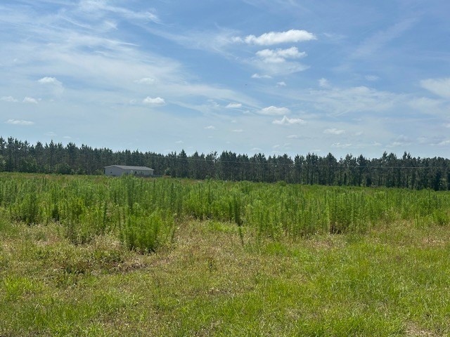 35 Tyler Rd, Naylor, GA 31641 - view of wooded area with a view of countryside