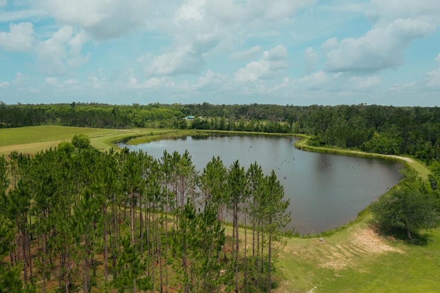 35 Tyler Rd, Naylor, GA 31641 - water view featuring a forest