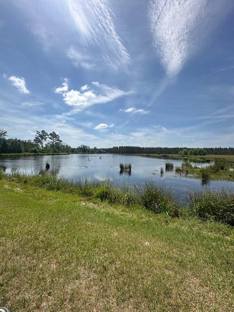 35 Tyler Rd, Naylor, GA 31641 - water view