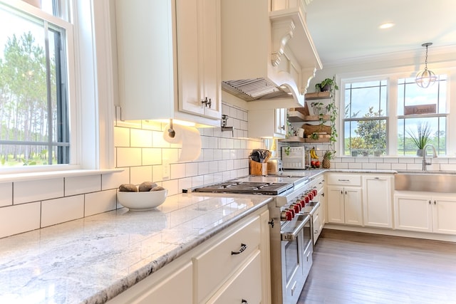 35 Tyler Rd, Naylor, GA 31641 - kitchen with double oven range, a sink, plenty of natural light, white cabinets, and crown molding