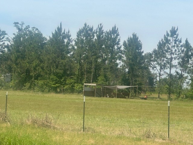 35 Tyler Rd, Naylor, GA 31641 - surrounding community with fence
