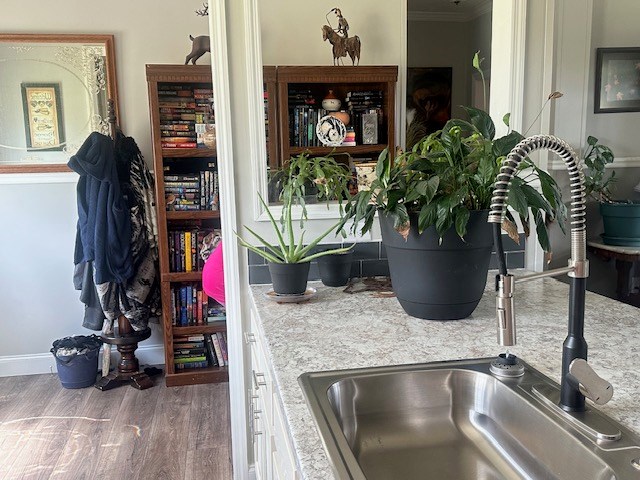 35 Tyler Rd, Naylor, GA 31641 - detailed view of a sink, wood finished floors, ornamental molding, and baseboards