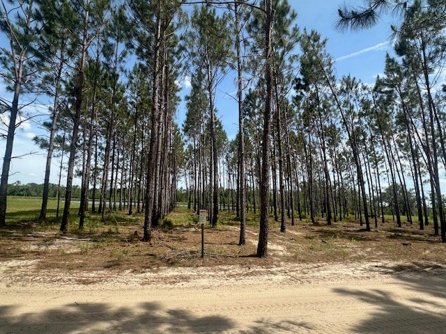 35 Tyler Rd, Naylor, GA 31641 - view of local wilderness