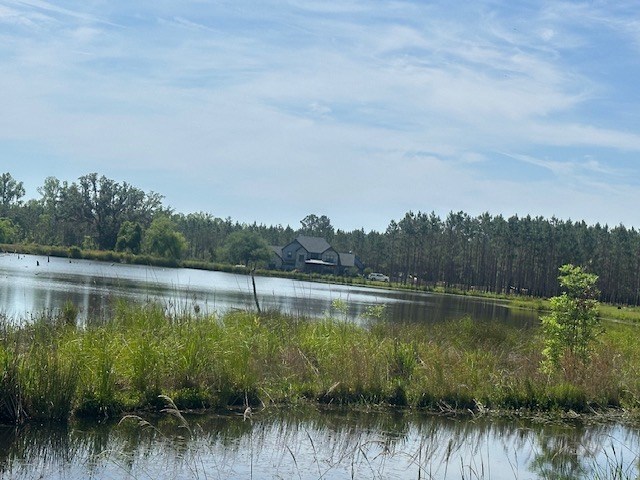 35 Tyler Rd, Naylor, GA 31641 - water view with a forest