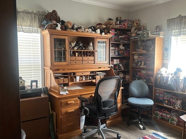 35 Tyler Rd, Naylor, GA 31641 - office area featuring crown molding and wood finished floors