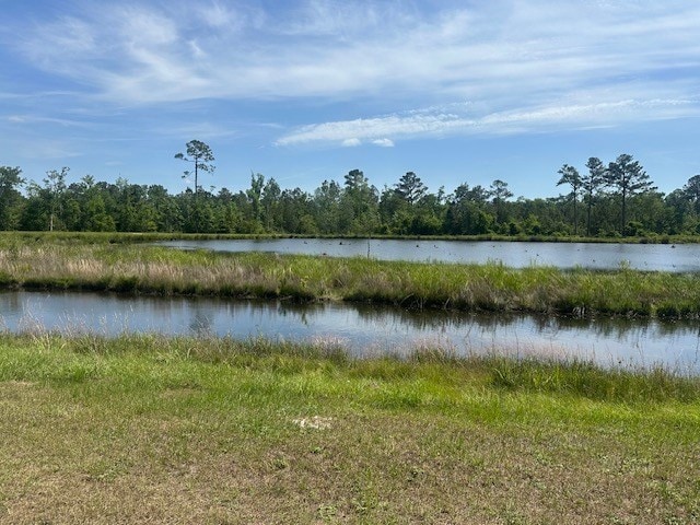 35 Tyler Rd, Naylor, GA 31641 - water view with a forest