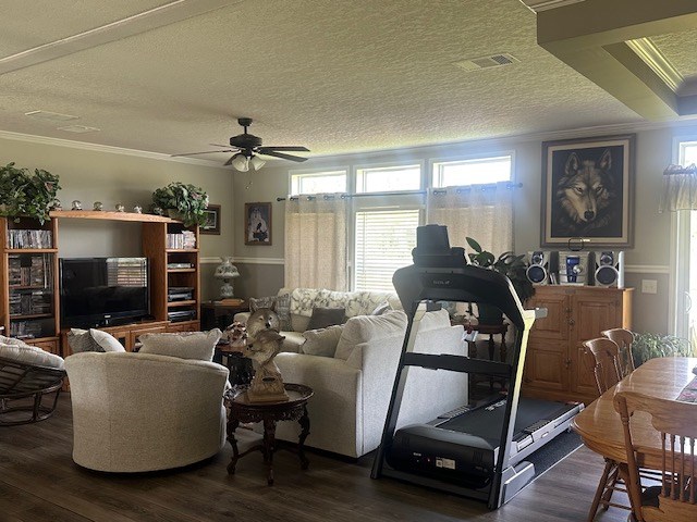 35 Tyler Rd, Naylor, GA 31641 - living area featuring crown molding, a textured ceiling, dark wood-type flooring, and a ceiling fan