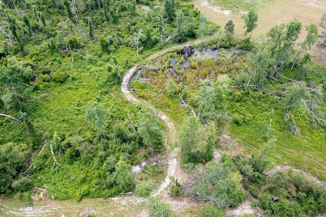 35 Tyler Rd, Naylor, GA 31641 - aerial view of property's location