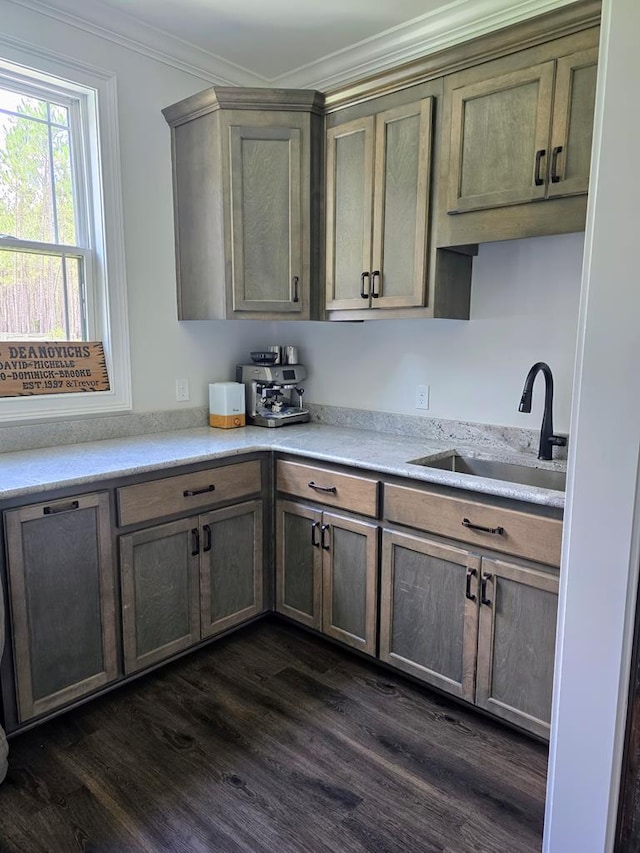 35 Tyler Rd, Naylor, GA 31641 - kitchen featuring a sink, dark wood finished floors, light countertops, and crown molding