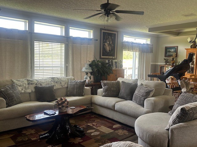 35 Tyler Rd, Naylor, GA 31641 - living room with ceiling fan, a textured ceiling, and ornamental molding