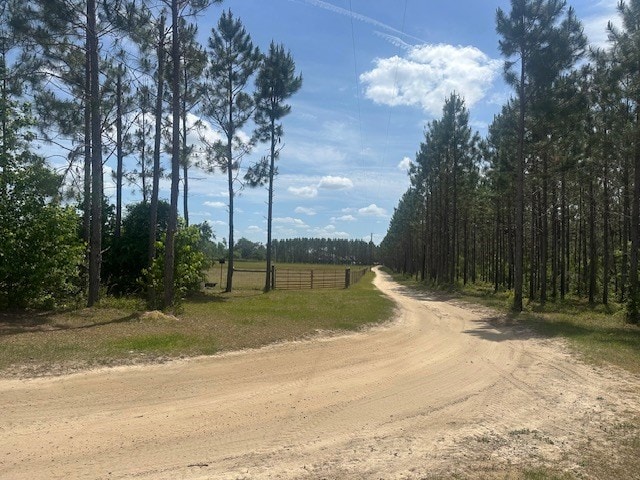 35 Tyler Rd, Naylor, GA 31641 - view of dirt / gravel road